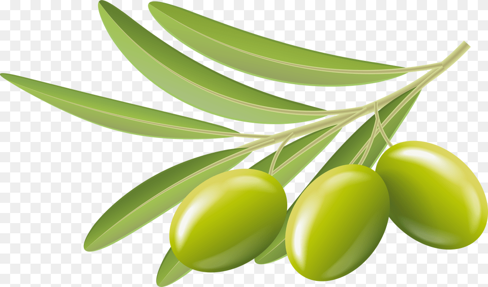 Clip Art Olive Clipart Olives Clipart Png Image