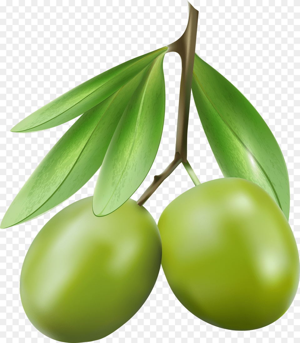 Clip Art Olives Olive Clipart Free Png