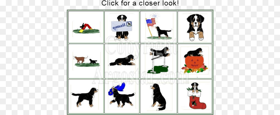 Clip Art On Cd Bernese Mountain Dog Clipart Sampler Bernese Mountain Dog Clip Art, Animal, Pet, Mammal, Canine Free Png