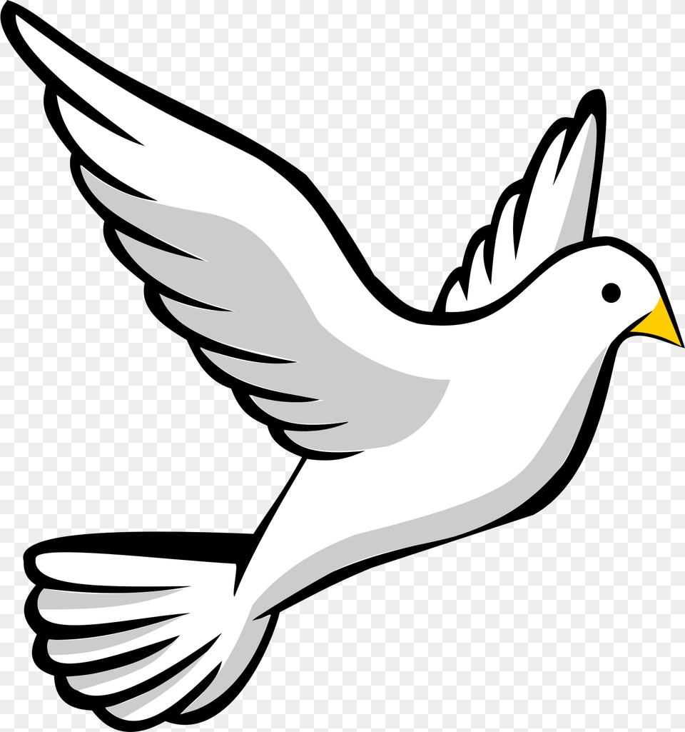 Clip Art Open Bible Black And White With The Holy Bible On It, Animal, Bird, Pigeon, Dove Png Image