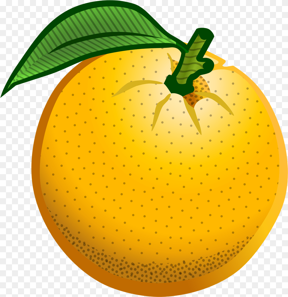 Clip Art Orange With Medium Size Orange Colored Clip Art, Produce, Food, Fruit, Plant Free Transparent Png