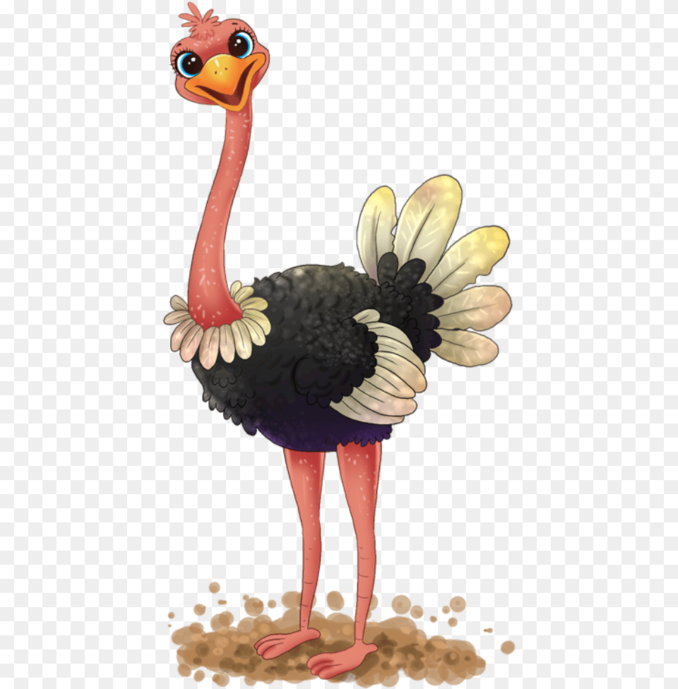 Clip Art Ostridge Clip Art Ostrich Images Clip Art, Animal, Beak, Bird, Chicken Free Png Download