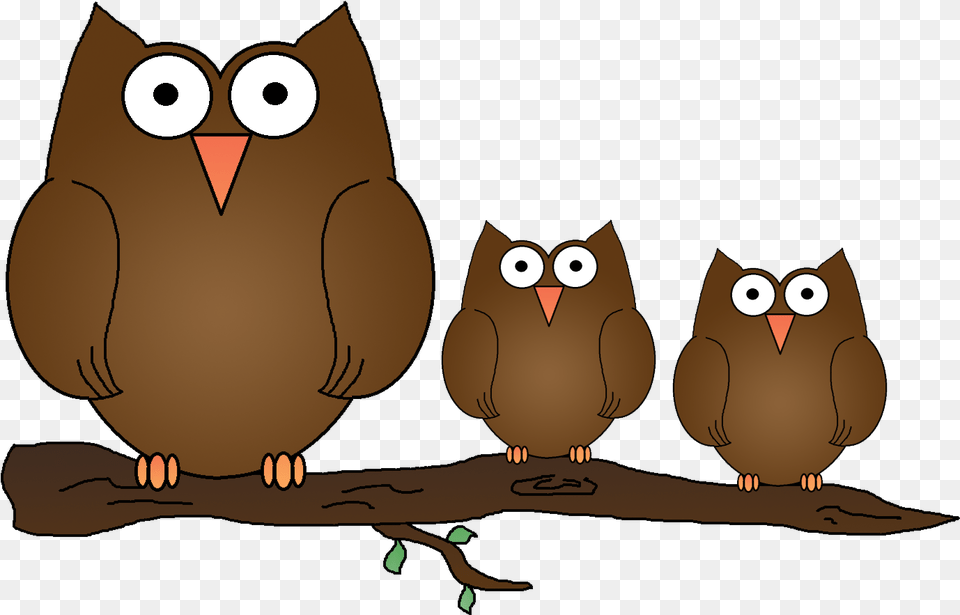 Clip Art Owls, Animal, Beak, Bird, Baby Free Png Download