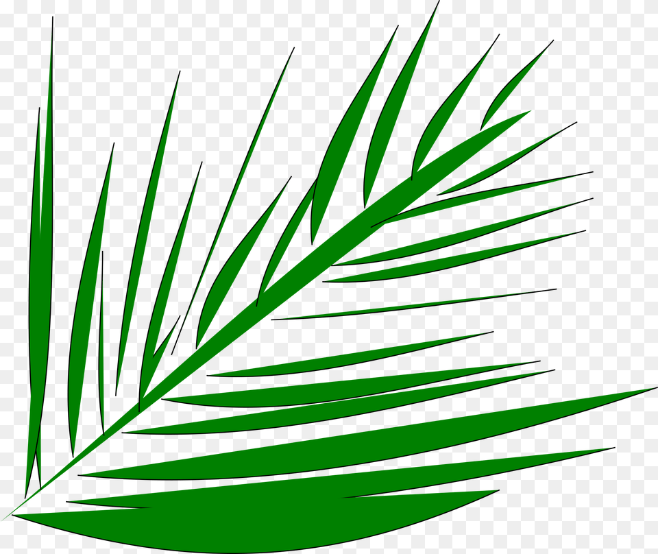 Clip Art Palm Leaves Clip Art, Green, Leaf, Plant, Vegetation Free Transparent Png