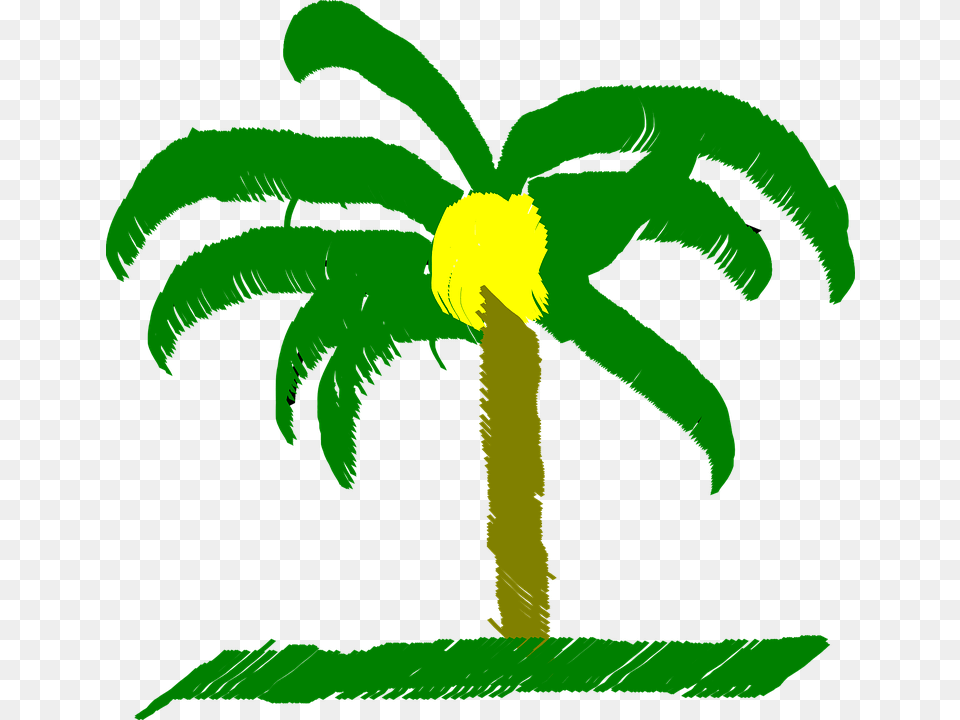 Clip Art Palm Trees Vector Graphics Openclipart Image Tpalma, Green, Palm Tree, Plant, Tree Free Transparent Png