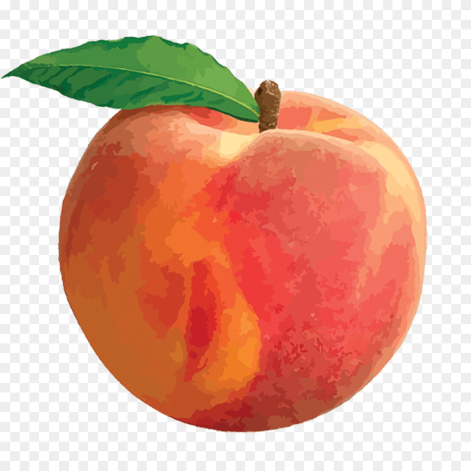 Clip Art Peach, Food, Fruit, Plant, Produce Png