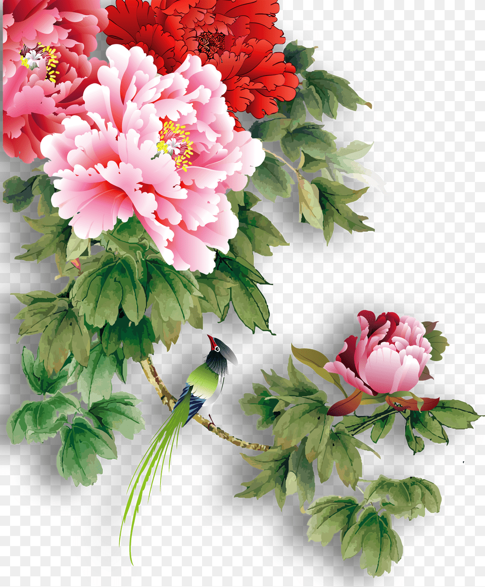 Clip Art Peony Flowers Images Chinese Peony Flower Png