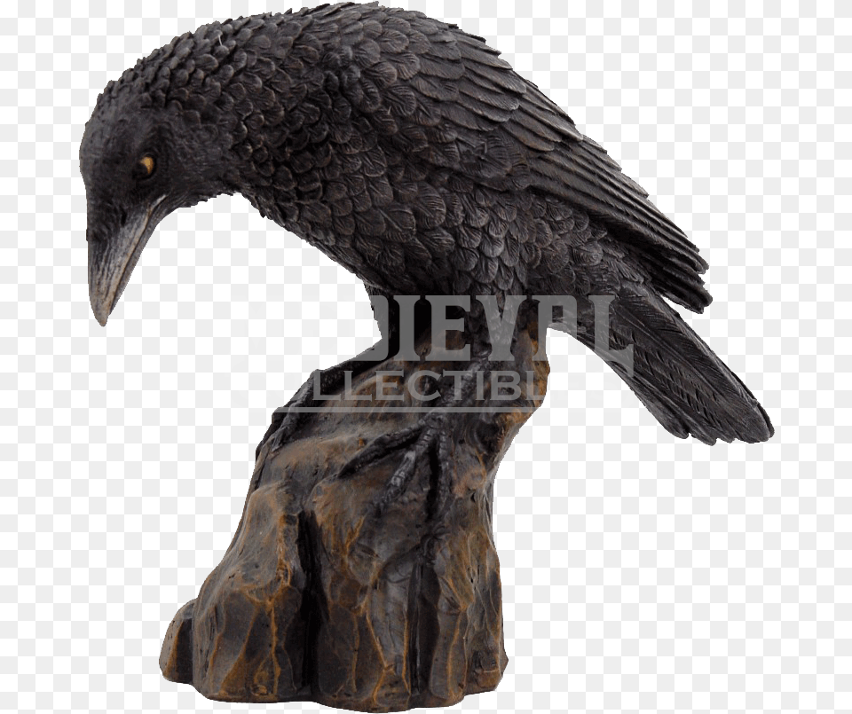Clip Art Perched Raven Raven Sculpture, Animal, Bird, Beak Png