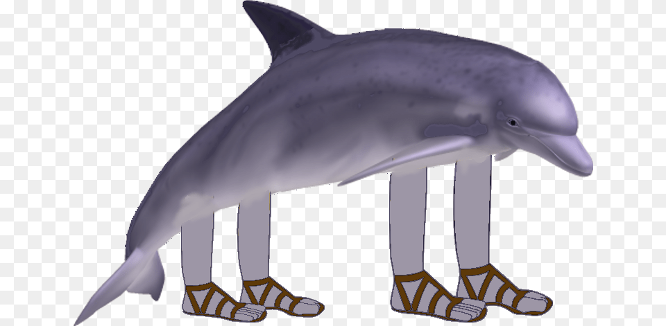 Clip Art Pet Dolphins Dolphin With Arms And Legs, Animal, Mammal, Sea Life, Fish Png Image