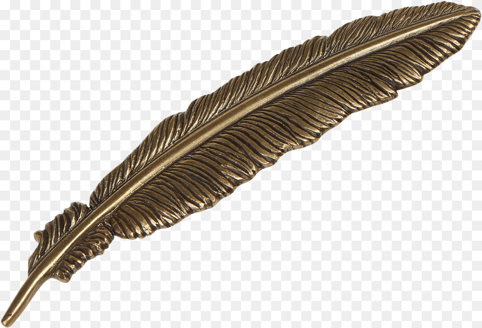 Clip Art Photo Nature Natural Feather In A Hat, Bronze, Leaf, Plant, Accessories Free Png