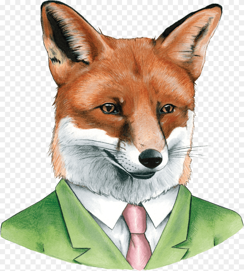 Clip Art Pictures Of Red Fox Berkley Illustration Free Png Download