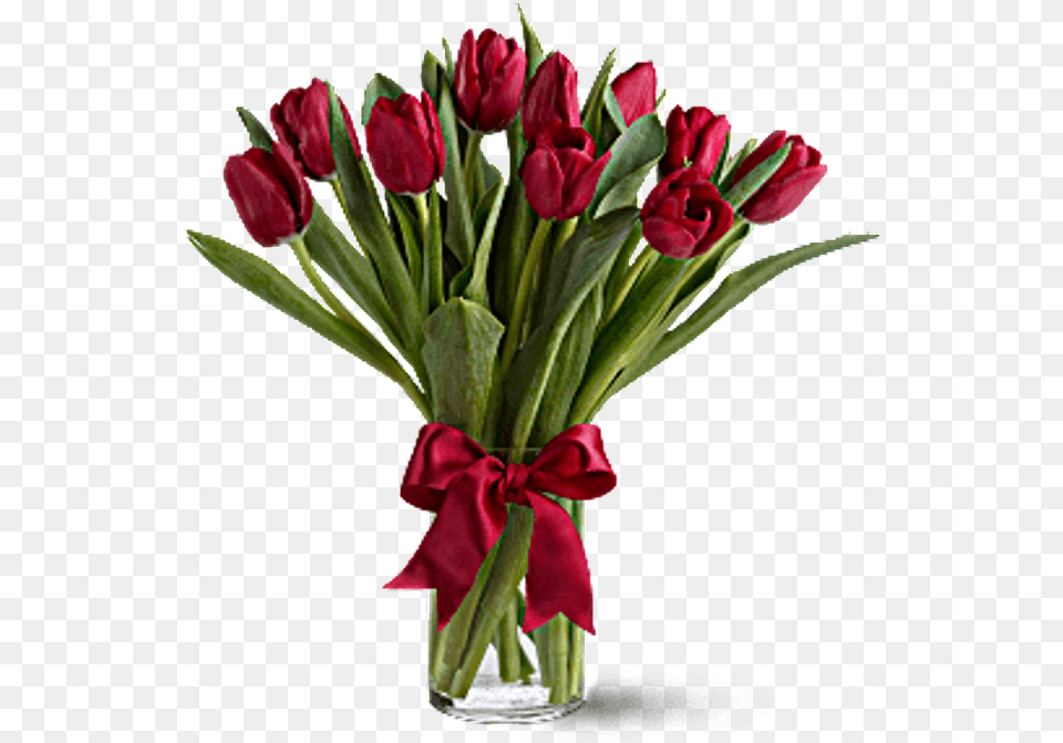 Clip Art Pictures Of Red Tulips Red Tulips Bouquet, Flower, Flower Arrangement, Flower Bouquet, Plant Png Image