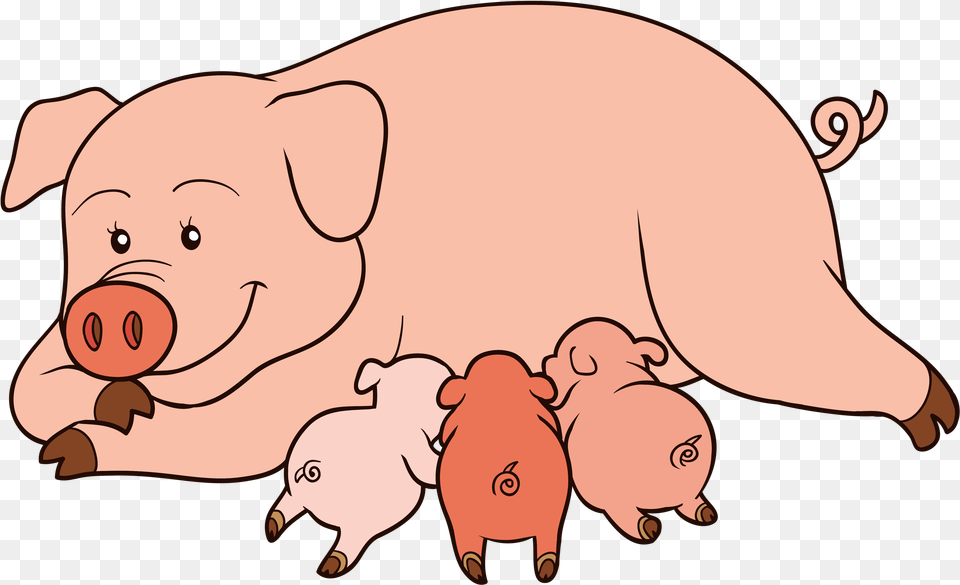 Clip Art Pig And Piglet Clipart, Animal, Mammal, Hog, Wildlife Free Png Download