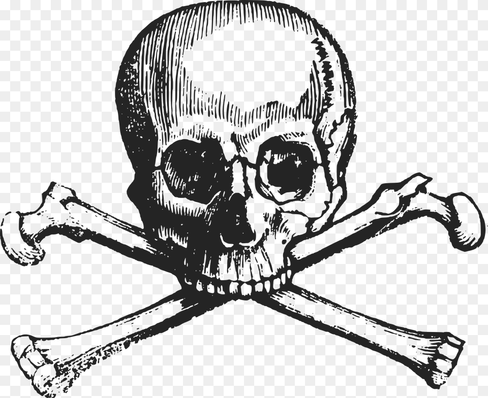 Clip Art Pile Of Skulls, Person Free Transparent Png
