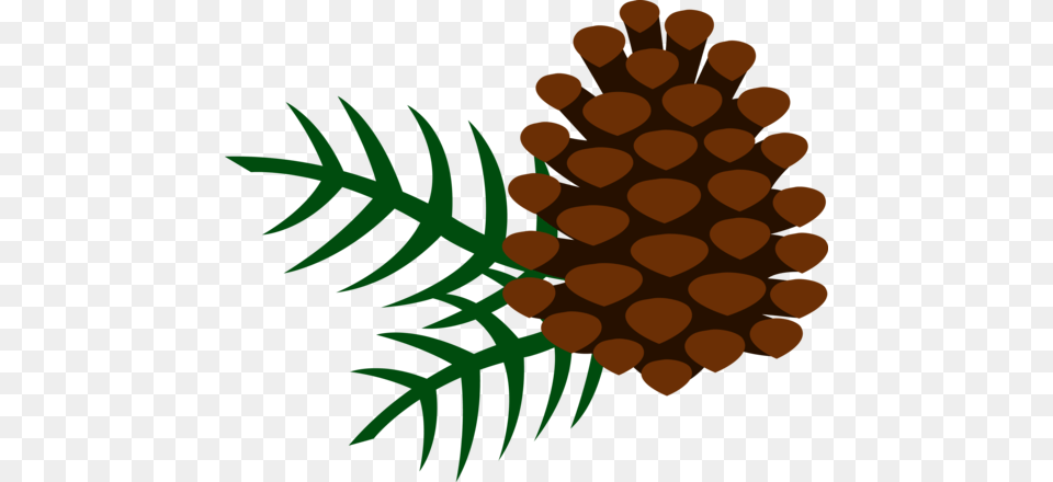 Clip Art Pine Cone, Tree, Plant, Conifer, Leaf Free Png