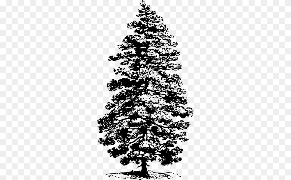 Clip Art Pine Tree Drawing At Clker Com Vector Online Pine Trees Ink Drawing, Fir, Plant, Silhouette, Person Png