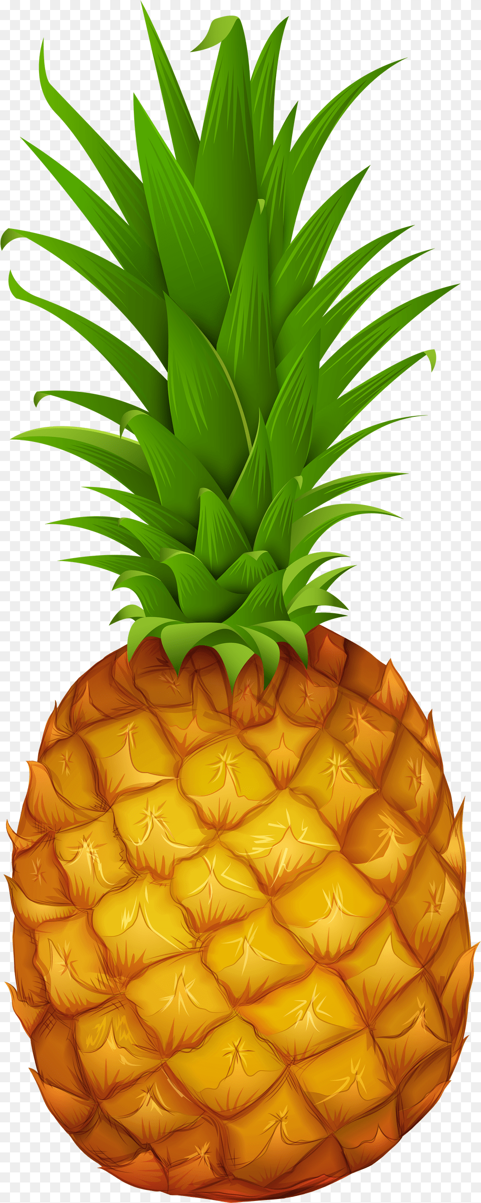 Clip Art Pineapple Gallery Yopriceville High Clip Art Pineapple Png Image