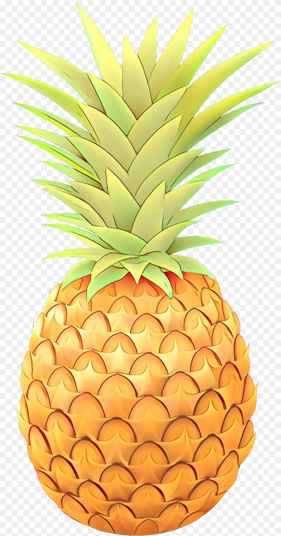 Clip Art Pineapple Vector Graphics Pineapple Clipart Png