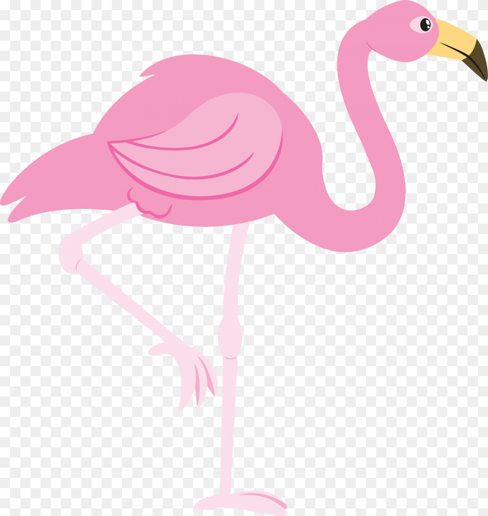 Clip Art Pink Flamingo, Animal, Bird Png