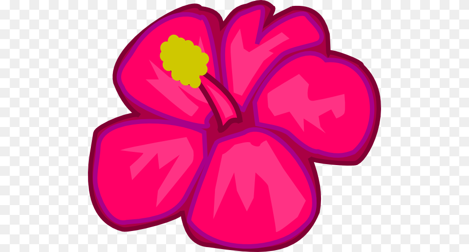 Clip Art Pink Flowers, Flower, Plant, Petal, Hibiscus Png Image