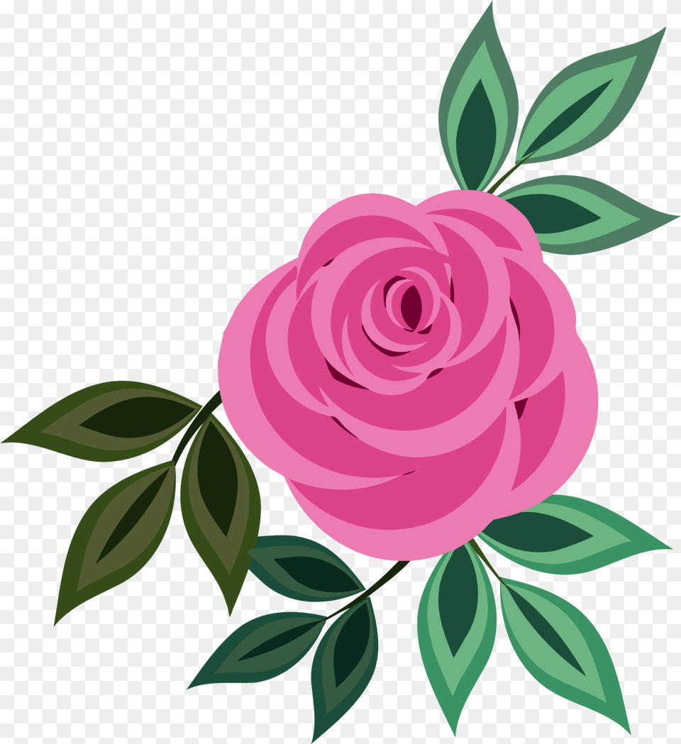 Clip Art Pink Rose, Flower, Plant, Pattern, Floral Design Free Transparent Png