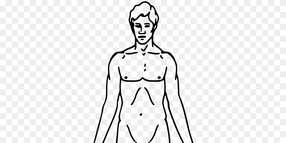 Clip Art Pioneer Plaque Man Upper Body As Diagram Template, Gray Free Png