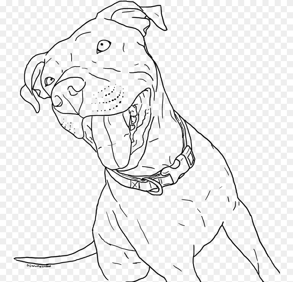Clip Art Pitbull Puppies Drawing Pitbull Coloring Book, Gray Free Png