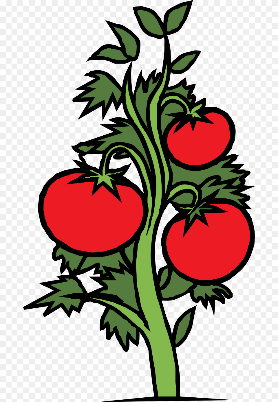 Clip Art Plants, Food, Produce, Plant, Tomato Free Transparent Png