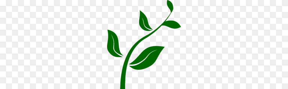 Clip Art Plants, Green, Herbal, Herbs, Leaf Png Image