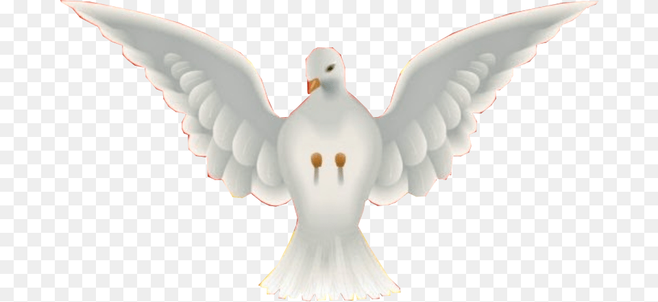 Clip Art Pomba Espirito Santo Pomba De Asas Sabedoria Entendimento Conselho Fortaleza, Animal, Pigeon, Bird, Dove Free Png Download