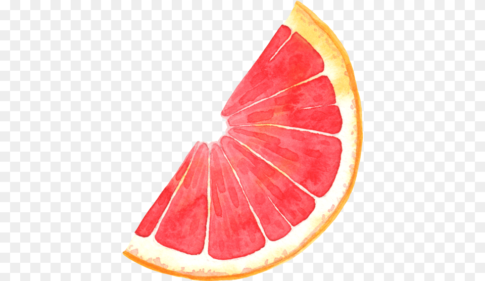 Clip Art Pomelo Blood Orange Illustration Grapefruit Cartoon, Citrus Fruit, Food, Fruit, Plant Png Image