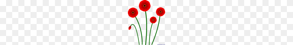 Clip Art Poppies, Flower, Plant, Petal, Poppy Free Transparent Png