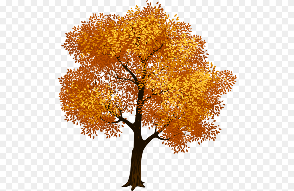 Clip Art Portable Network Graphics Fall Tree Image Tree Background Green Tree Clipart, Leaf, Maple, Plant Free Transparent Png