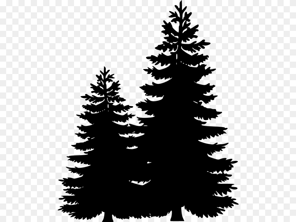 Clip Art Portable Network Graphics Pine Tree Image Pine Tree Line Silhouette, Gray Free Png
