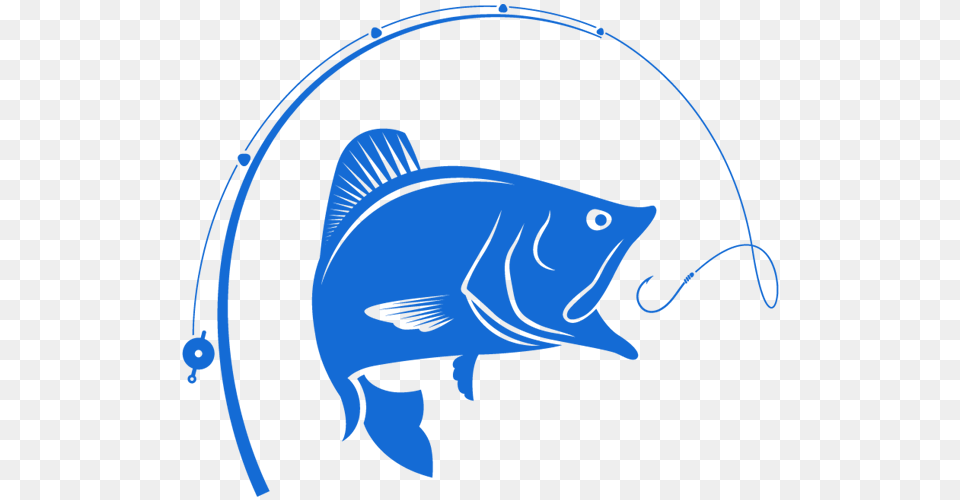 Clip Art Portfolio Categories, Animal, Sea Life, Fish, Shark Free Transparent Png