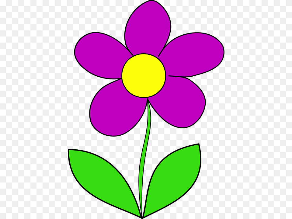Clip Art Purple Flowers, Anemone, Plant, Daisy, Flower Free Png