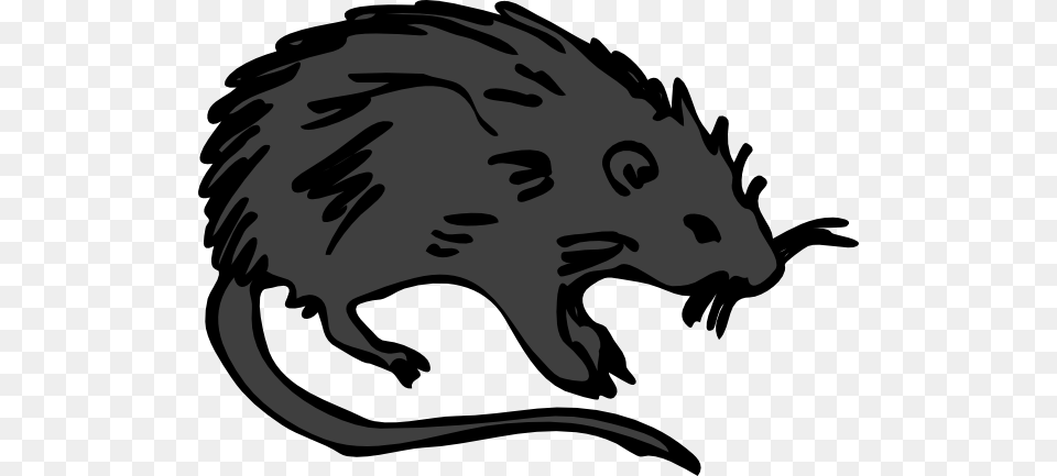 Clip Art Rat Clipart Black And White, Animal, Mammal, Baby, Person Free Transparent Png