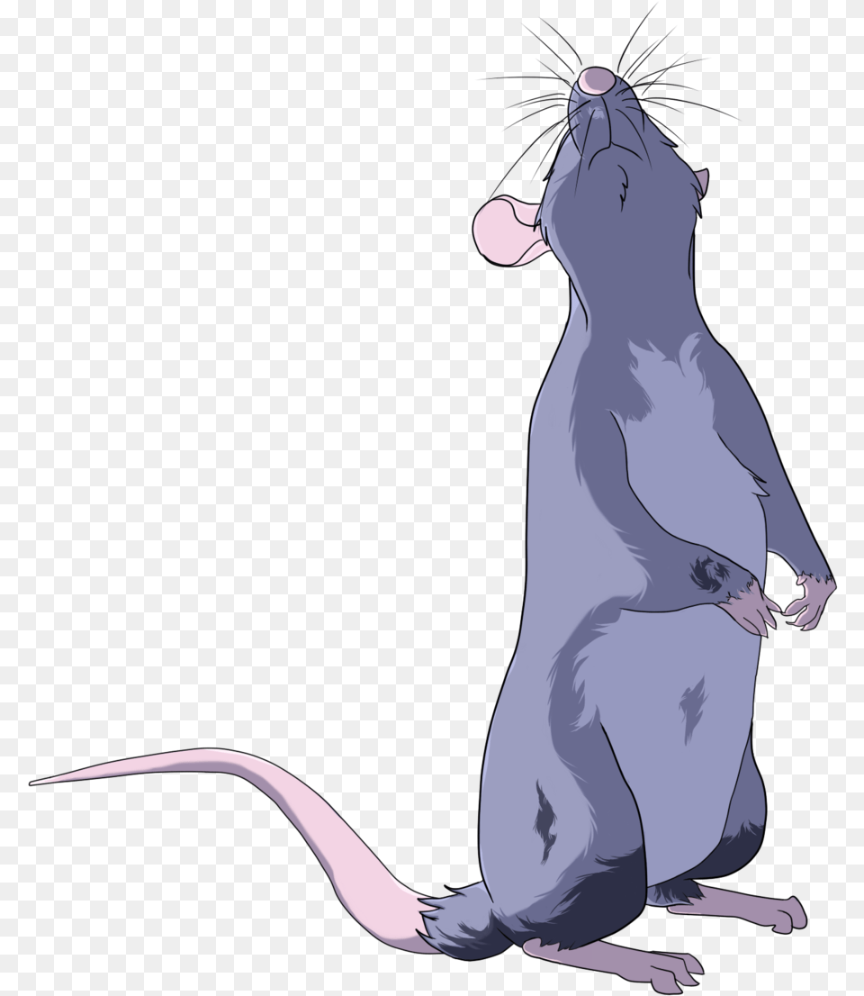 Clip Art Rat Standing Up Rat Drawing, Person, Animal, Mammal Png