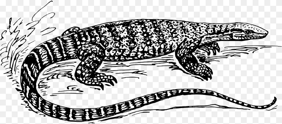 Clip Art Reptile Scale Monitor Lizard Black And White, Gray Free Transparent Png