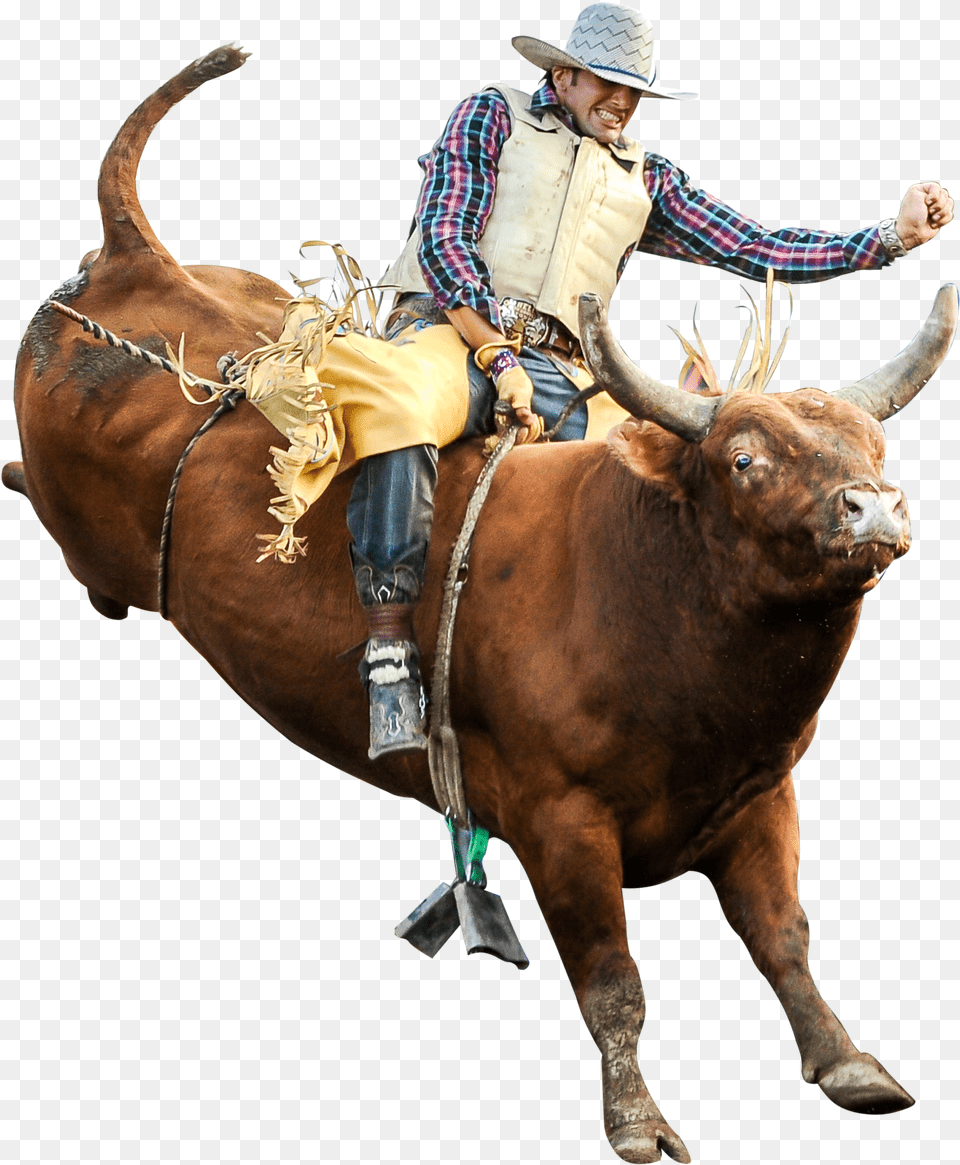 Clip Art Riding Professional Riders Rodeo Bull Riding, Mammal, Animal, Hat, Clothing Free Png