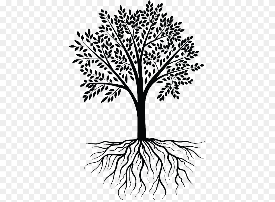 Clip Art Root Vector Graphics Tree Wall Decal Tree With Roots Clipart, Drawing, Plant Png