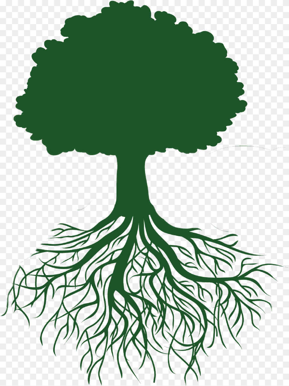 Clip Art Roots Illustration Tree Outline With Roots, Plant, Root, Person Png Image