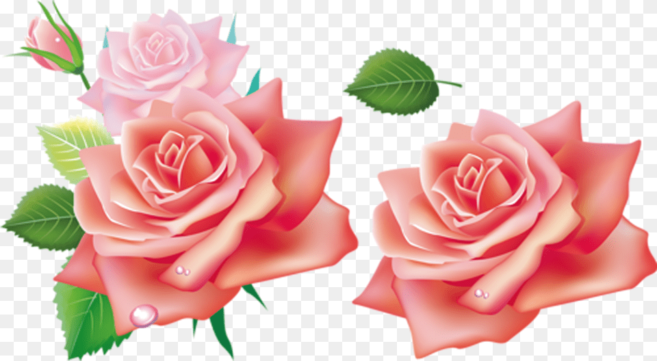 Clip Art Rosadas For Free 3d Flowers Hd, Flower, Plant, Rose Png Image