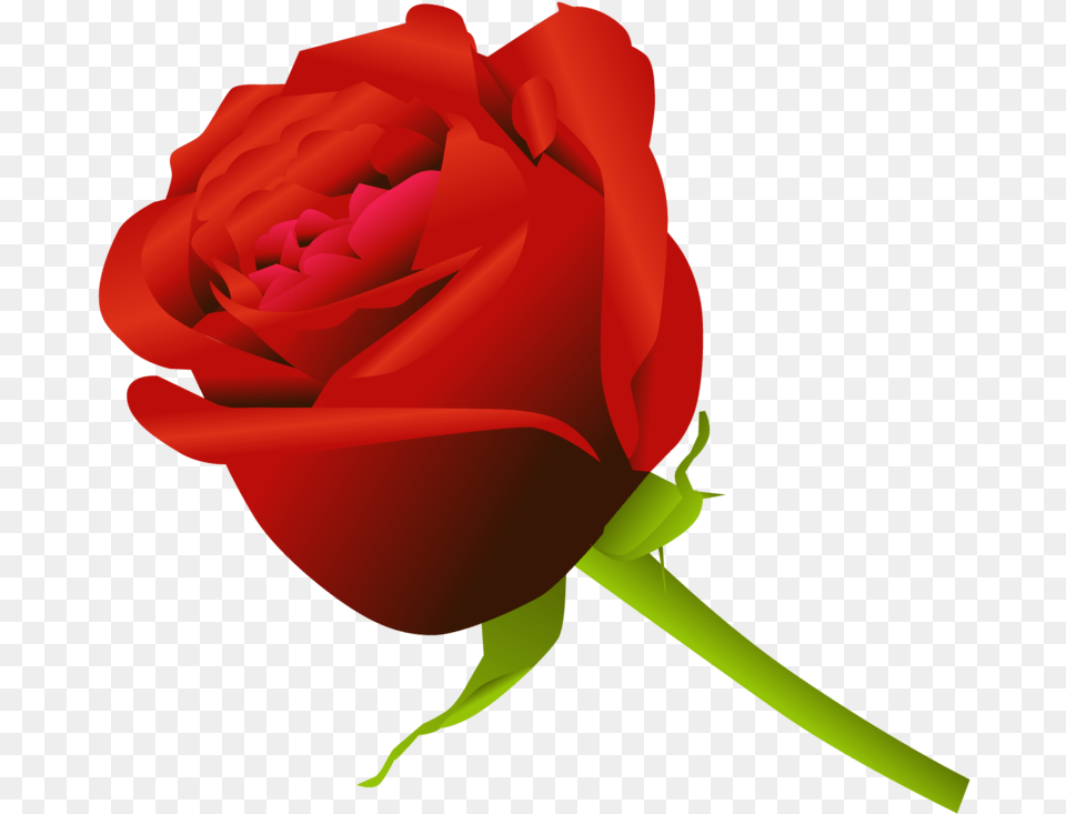 Clip Art Rose Flower Image Gulab Phool, Plant, Baby, Person Free Transparent Png
