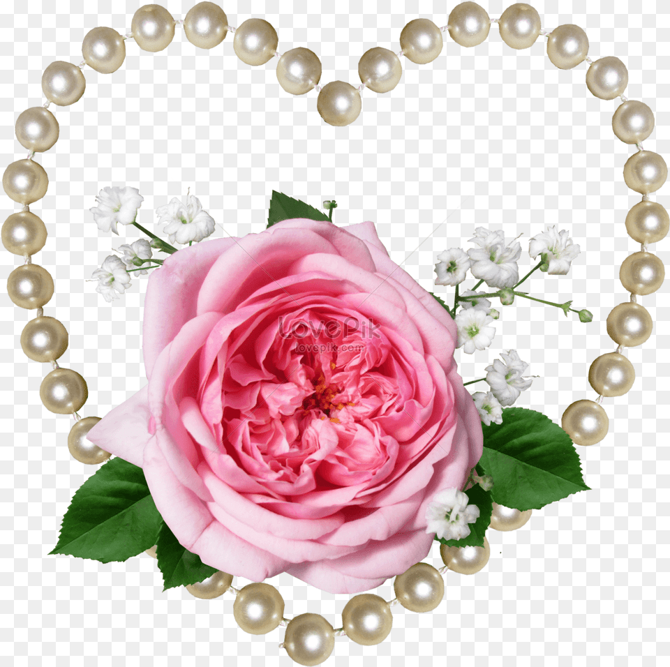 Clip Art Rose Pearl Background Photo Pink Tea Rose And Pearls, Accessories, Flower, Plant, Flower Arrangement Free Png Download