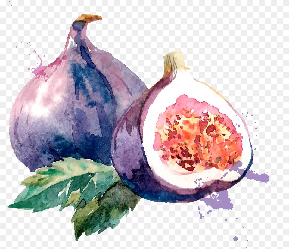 Clip Art Royalty Common Fig Watercolor Painting Fruit Watercolor, Food, Plant, Produce Free Png Download