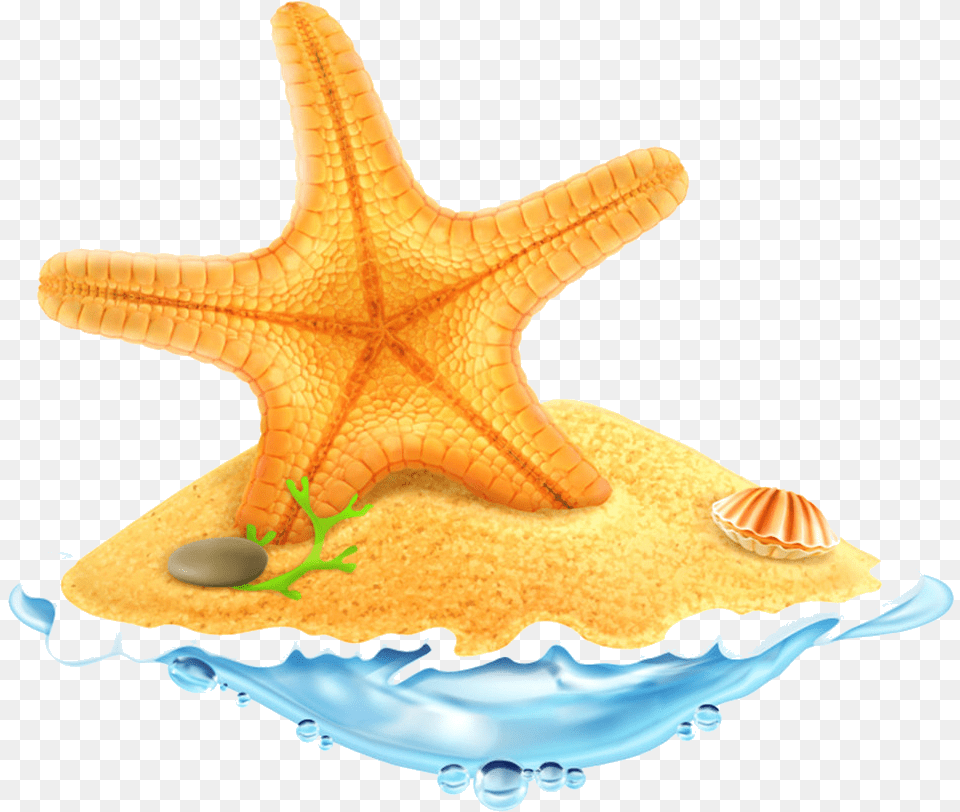 Clip Art Royalty Free Stock Starfish Transparent Yellow Treasure Box On Island, Animal, Sea Life, Invertebrate, Dinosaur Png