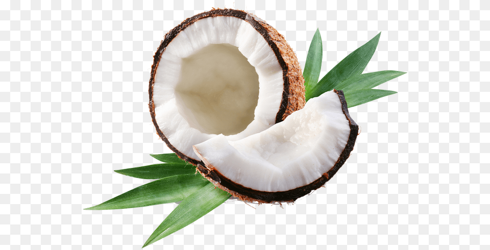 Clip Art Royalty Why We Break Coconuts Coconut Oil, Food, Fruit, Plant, Produce Free Transparent Png