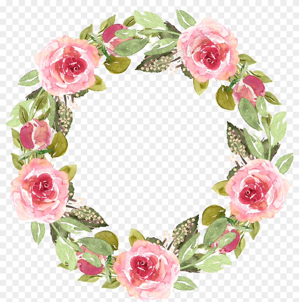 Clip Art Royalty Library Watercolor Texture Clipart Pink Rose Wreath, Flower, Plant, Flower Arrangement, Pattern Png Image