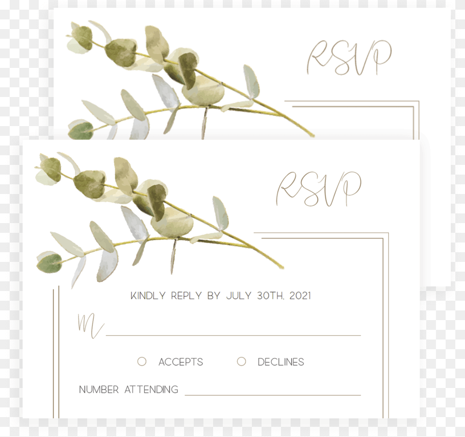 Clip Art Rsvp Cards Templates Flower, Herbal, Herbs, Leaf, Page Free Png
